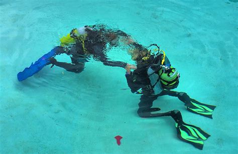 Padi Discover Scuba Diving Course In Cape Town