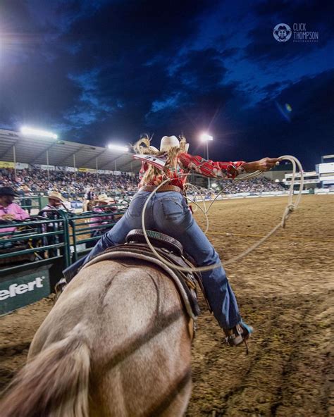 Pin P Rodeo I Vilde Heste Hyrdehunde Rodeo