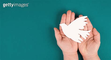 Holding A White Dove In The Hands Symbol Of Peace Paper Cut Out Copy