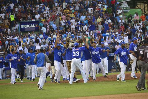 Los Tigres Del Licey Anuncian Dos Lanzadores Refuerzos Diariodigitalrd