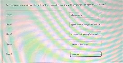 Solved Put The Generalized Sexual Life Cycle Of Fungi In