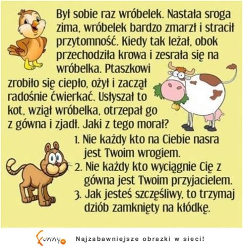 Funny pl Prawda życiowa którą musisz poznać DOKAŁDNIE