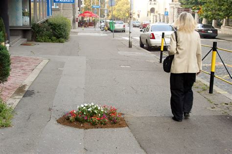 Kralja Petra Prvog A Katharina Cibulka