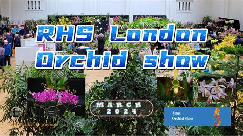 London Orchid Show Lindley Hall Rhs The Most Exotic Of Tropical