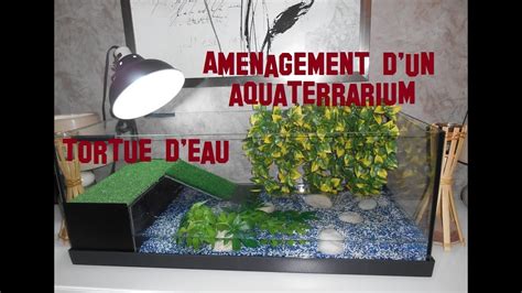 Tuto Aménagement d un Aquaterrarium tortue d eau aquarium Turtle