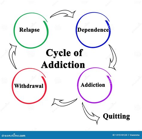 Stages Of Addiction Cycle