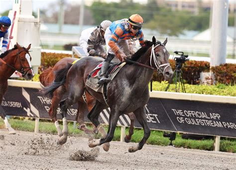 Florida Derby 2023 Results: A Come-From-Behind Triumph For Forte, Mage ...