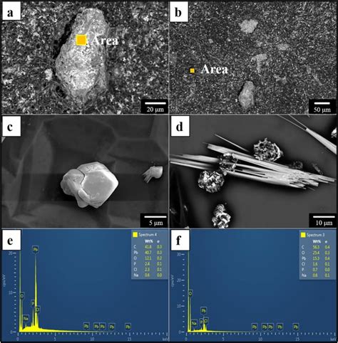 Morphologies And Elemental Composition Of Extracellular Pb Containing