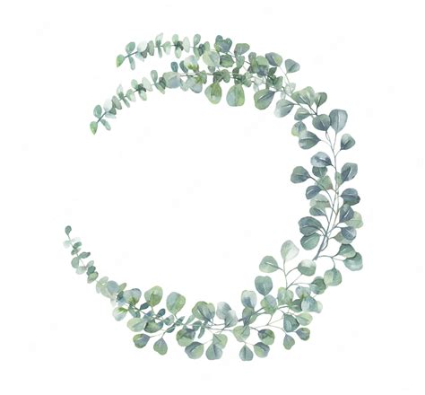 Premium Vector Watercolor Eucalyptus Wreath