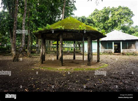 A Gazebo With Moss And Ferns On The Roof And Pillars Made From Wood