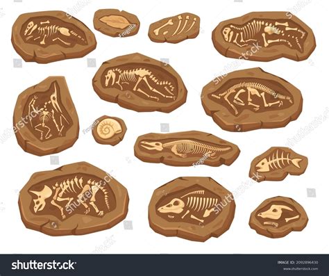 Cartoon Dinosaurs Fossils Ancient Triceratops Dinosaur Vetor Stock