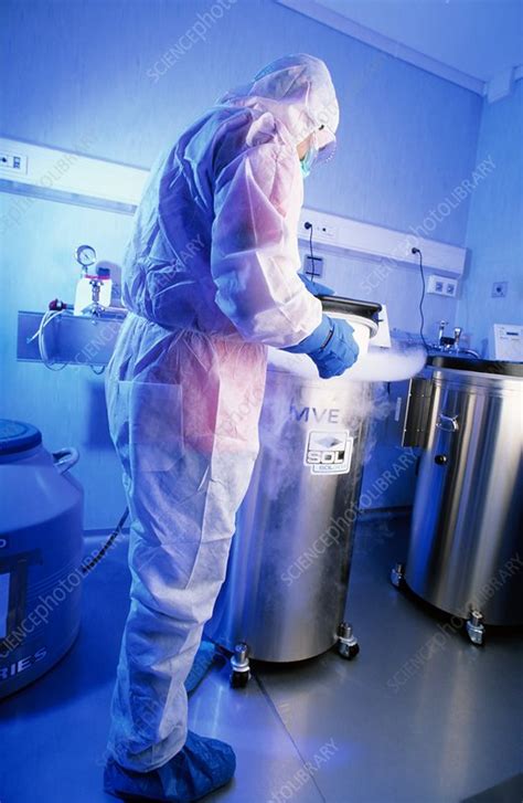 Stem cell storage - Stock Image - C004/3365 - Science Photo Library