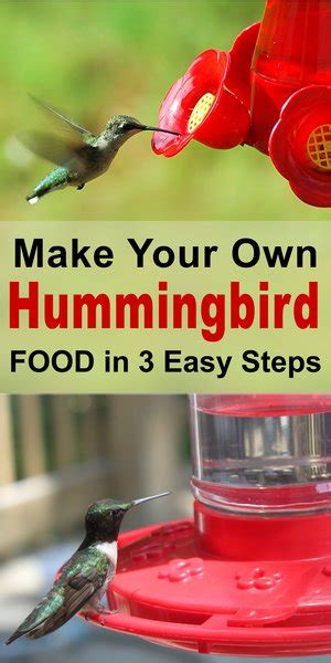 Easy Diy Hummingbird House Classic And Safe Hummingbird Nectar Recipe