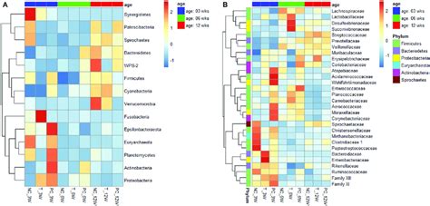 Heatmap Of A All Identified Phyla And B The 30 Most Abundant