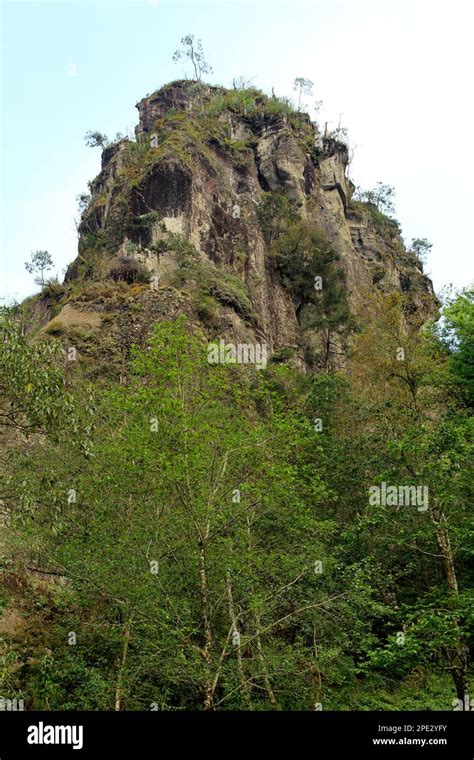 El Cirio Iconic And Sacred Site Otomi Tepehua Of Tenango De Doria