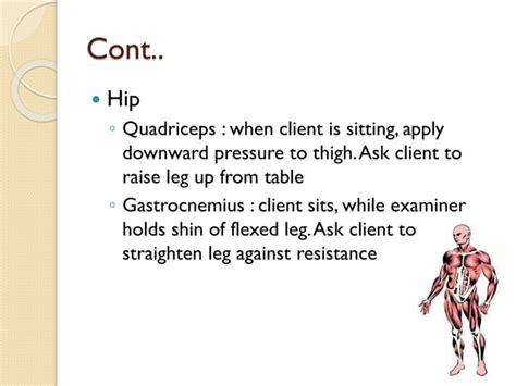 Examination Of Musculoskeletal System PPT