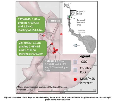 TALON METALS CONFIRMS HIGH-GRADE MINERALIZATION IN THE NEW RAPTOR ZONE WITH ASSAYS GRADING UP TO ...