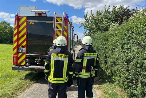 Brandeinsatz 16 07 2023 Brand Von Garteneinrichtung Lochtum