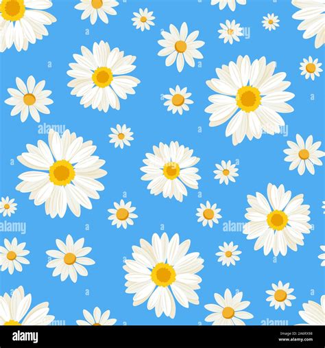 Vector Seamless Pattern With White Daisy Flowers On A Blue Background