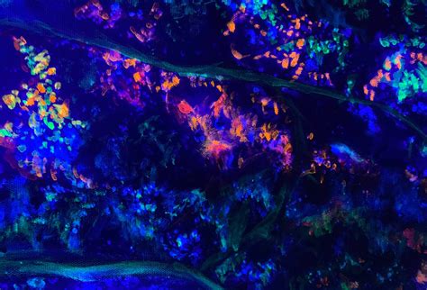 Special offers and exclusive savings — Esoteric Realms