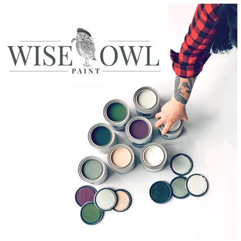 One Hour Enamel Paint - Wise Owl Chalk Synthesis Paint