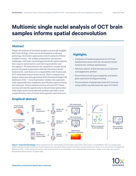 Multiomic Single Nuclei Analysis Of OCT Brain Samples Informs Spatial