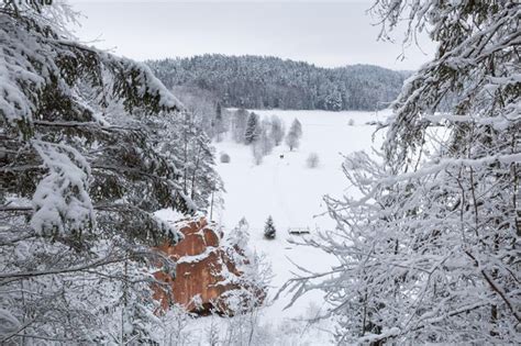 Premium Photo Frozen Trees On Landscape Against Sky