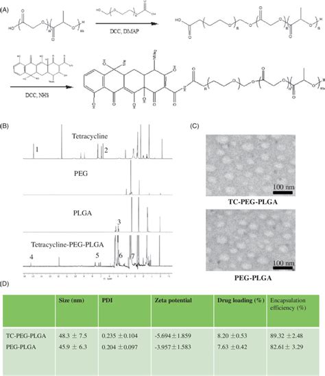 Preparation And Characterization Of Tc Peg Plga A Synthesis Route Of