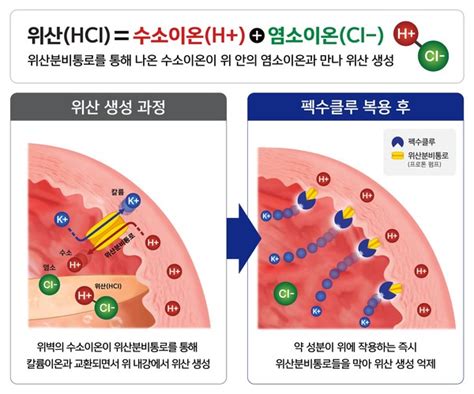 대웅 펙수클루 매출 1000억 달성