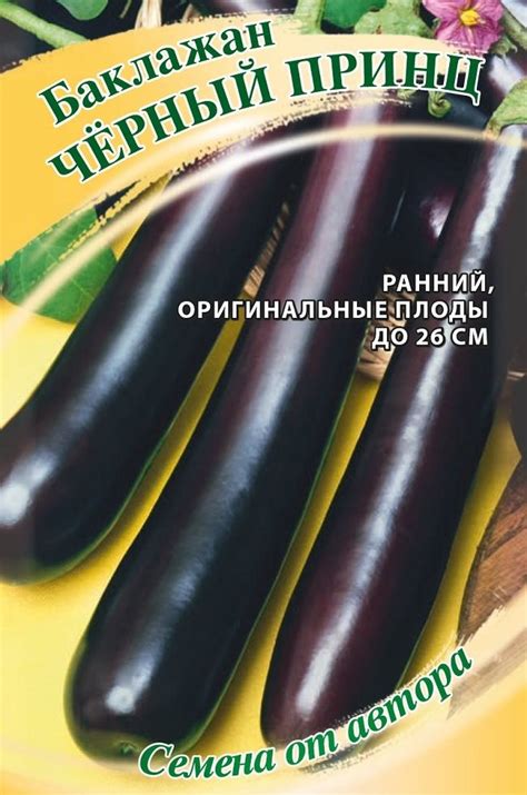 Баклажан Черный принц: описание и характеристика сорта, агротехника ...