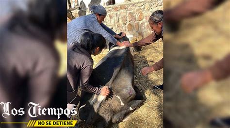 Los Tiempos on Twitter LTahora Cochabamba Estas son las difíciles