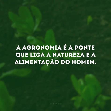 Frases De Agronomia Para Quem Apaixonado Pela Vida Do Campo