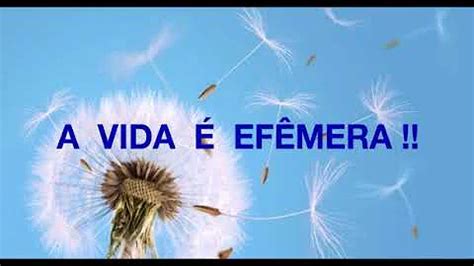 O Que Quer Dizer Efêmera - O que é vida efêmera?
