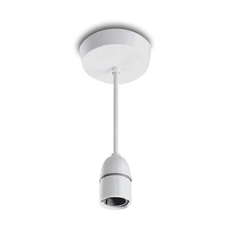 Replace Light Fitting Ceiling Rose Pendant 2 Max Per Service Uk