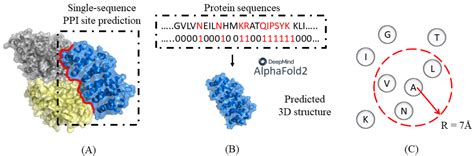 Evaluation Of The Effectiveness Of Derived Features Of Alphafold2 On