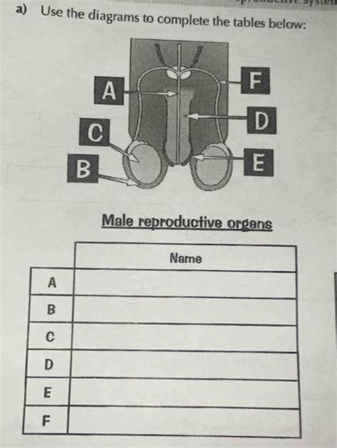 Solved Y Sten A Use The Diagrams To Complete The Tables Below Male