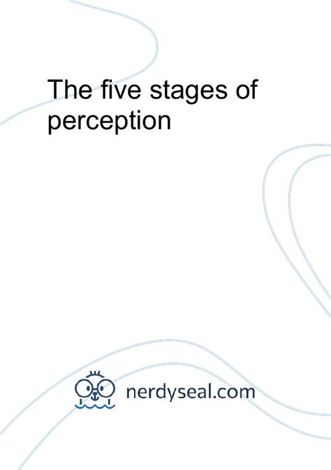 The five stages of perception - 1044 Words - NerdySeal