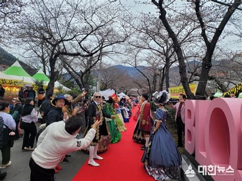 경남시니어모델협회 제62회 진해군항제 함께 걷는 벚꽃길 패션쇼 성황