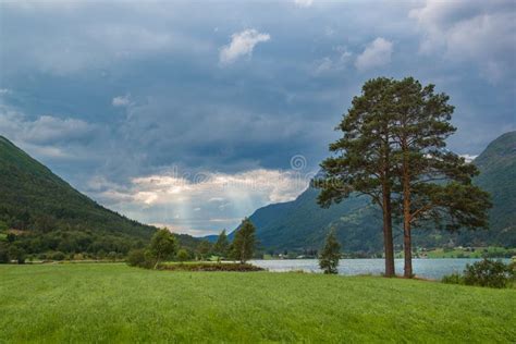 Landscape With Pine Tree Lake And Storm Sky Norway Stock Photo