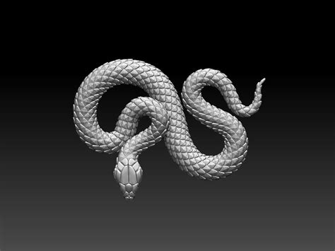 Snake - 3D Print Model by Explorer