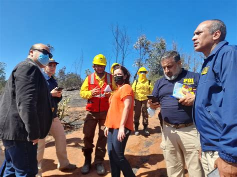 Fiscalía y PDI inician investigación por origen de mega incendio en