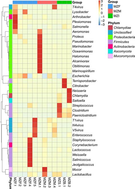 Cluster Heat Map Of Relative Abundance At Genus Level Download Scientific Diagram