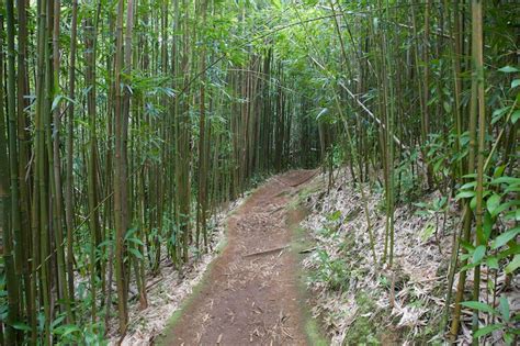 Manoa Falls Trail - Hawaii on a Map