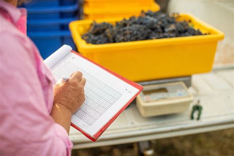 Charles Sturts Agriculture Water And Environment Institute Nsw Wine