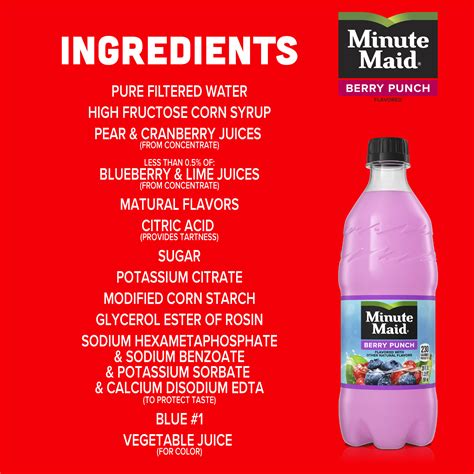 Minute Maid Berry Punch Fruit Juice 20 Fl Oz Bottle