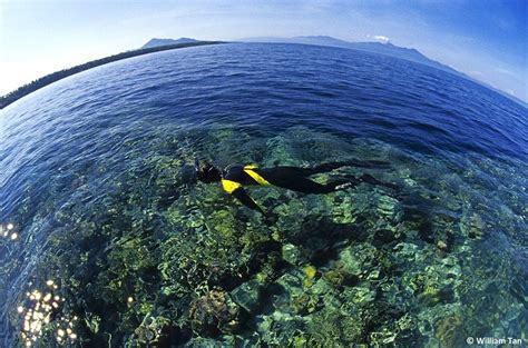 Bunaken Snorkeling Trip - Manado Safari Tours & Travel