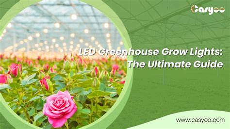 LED Greenhouse Grow Lights: The Ultimate Guide - Casyoo