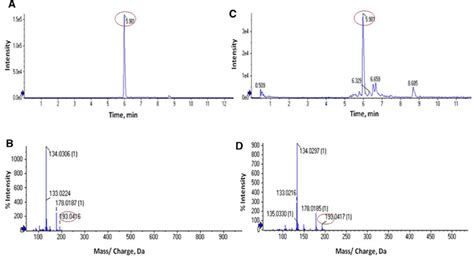 Chromatogram Of Retention Time Rt Of Standard A And Sample C And Download Scientific