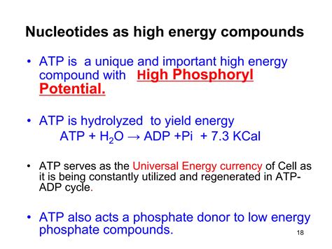 Nucleotide structure function dr m muzaffar mir | PPT