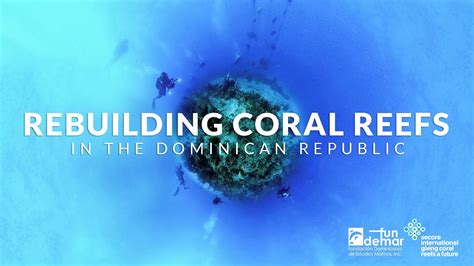 Rebuilding Coral Reefs In The Dominican Republic Youtube